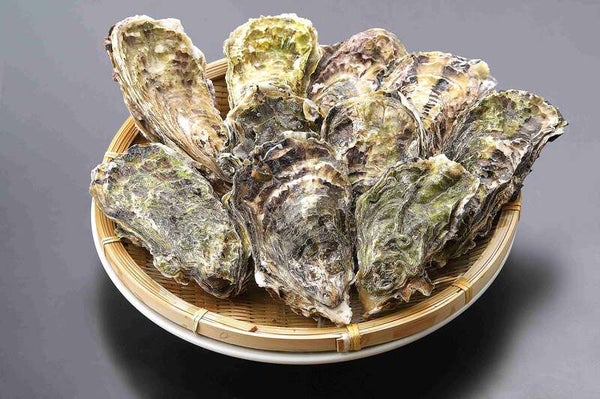 【富山県内発】 「能登國一宮気多大社」参拝と能登かき食べ放題のご昼食1